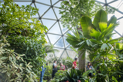 Decorative Image Students